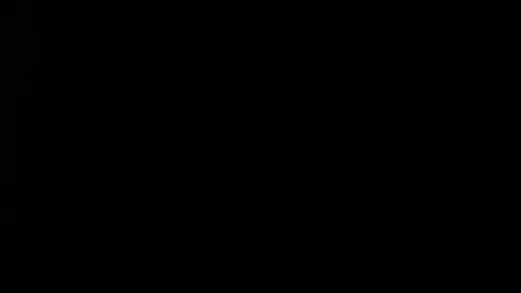 SALMAHOTCAM online show from February 27, 9:14 pm