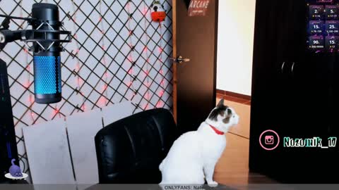 Snapshot of yoshino_san chatting on January 16, 4:18 pm you can call me Andy or  yoshi  3 online show from January 16, 4:18 pm