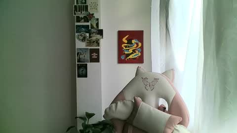 your sttar online show from January 8, 11:54 am