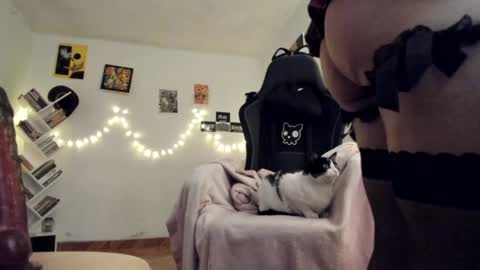 Snapshot of yury_sun chatting on January 29, 11:35 pm paola online show from January 29, 11:35 pm