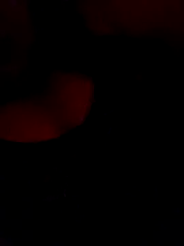 FerLu8 online show from February 26, 4:00 am