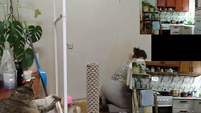 Sakura Green online show from November 25, 4:20 pm