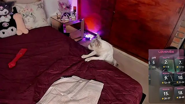 Nikole66  online show from April 10, 6:30 am