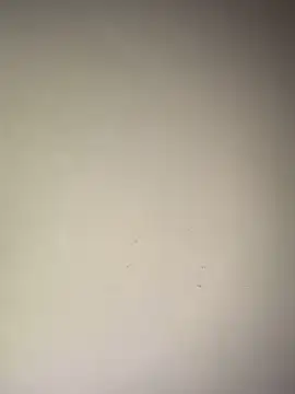 Nayafreaky online show from March 18, 4:12 pm