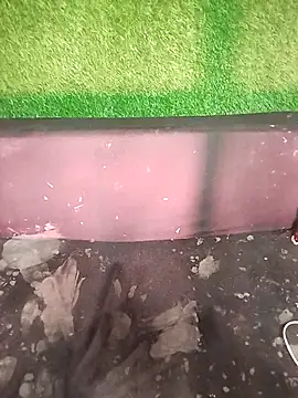 loveli diya online show from January 17, 8:44 am