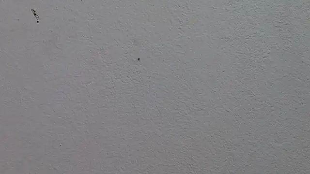 Cloeandtyfanny online show from February 13, 10:44 pm