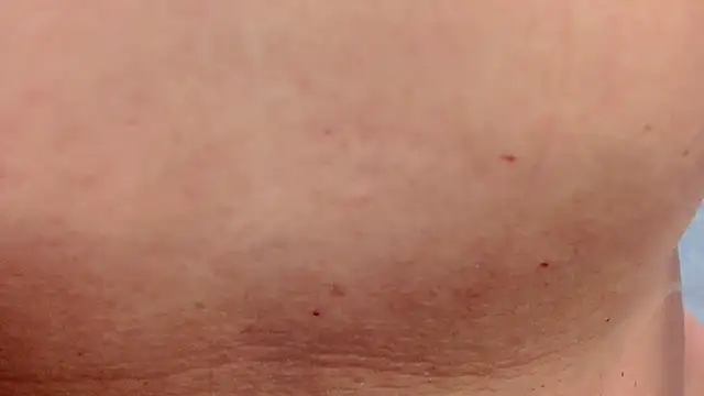 LeeTizia online show from February 25, 2:15 pm