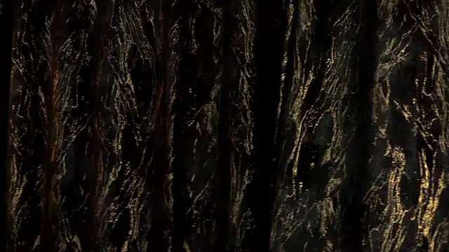 MiaCharm online show from February 24, 11:47 pm