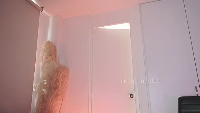 roselinedior online show from February 6, 2:42 pm