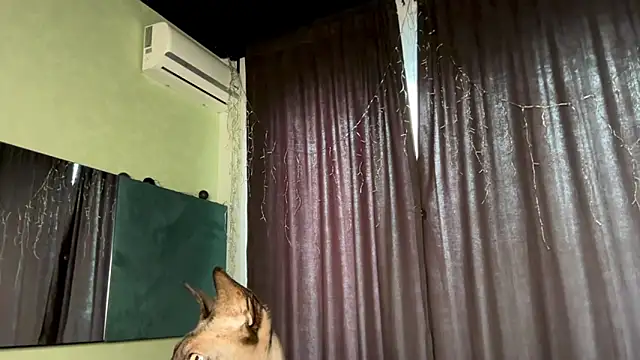 MariaValverdeee online show from April 1, 1:41 pm