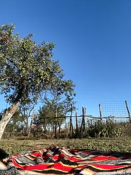 Snapshot of MikyVesela chatting on September 23, 2:37 pm MikyVesela online show from September 23, 2:37 pm