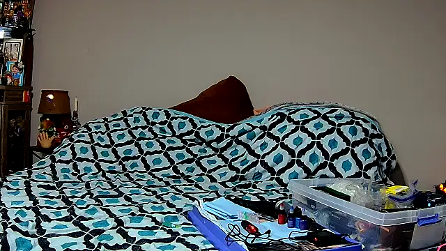 ZeelaXoXo online show from November 23, 6:38 am