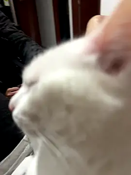 Shanonsex2 online show from September 16, 1:35 am