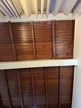 emiss  online show from April 9, 7:30 pm