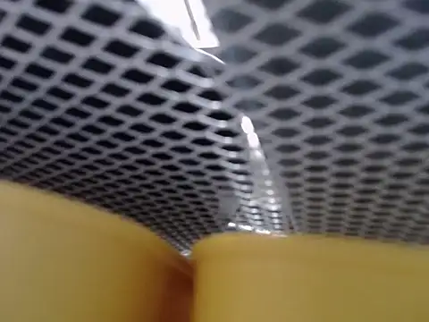 lovense test04 online show from October 21, 11:03 am