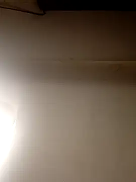 AmazonianMistress online show from March 5, 9:32 pm