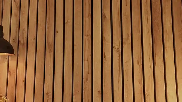 sofiesoft online show from February 27, 9:47 pm