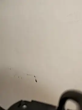 AvaLloyd online show from February 20, 6:26 am