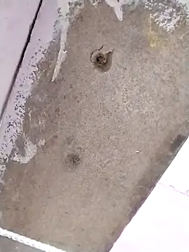 khanZaadii online show from October 16, 7:05 pm