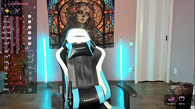 Project hisoka online show from November 20, 4:13 am