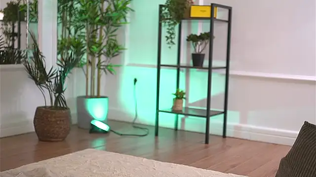 Cherrysweett online show from February 13, 8:16 am