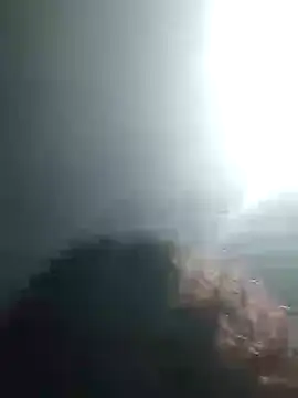 lorraine alves ferreira online show from November 13, 11:48 pm