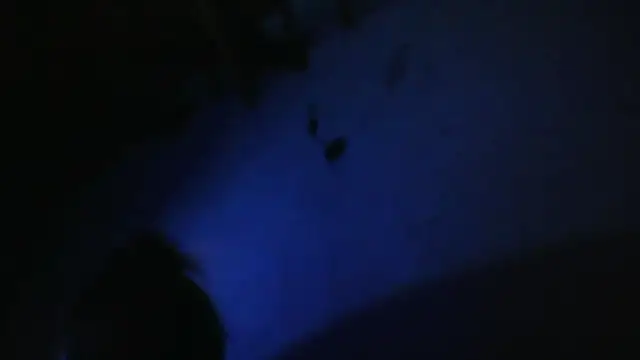 Sarahmonesexy online show from October 1, 3:00 am