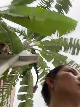 SofiaG  online show from November 18, 9:05 pm