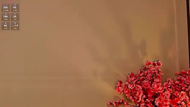 nik0le  online show from February 17, 11:59 pm