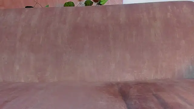 sammyfox97 online show from November 14, 1:33 pm