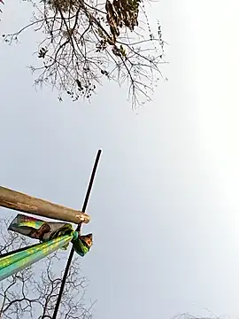 Queen suman online show from February 23, 8:58 am