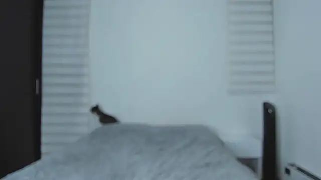 tigerbaby  online show from September 23, 4:32 am