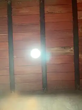 Snapshot of MollySanders___ chatting on October 8, 10:47 pm MollySanders online show from October 8, 10:47 pm