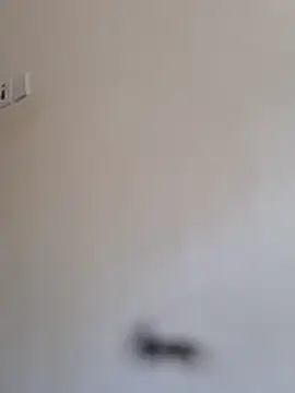 BriannaVincent online show from October 15, 4:59 am