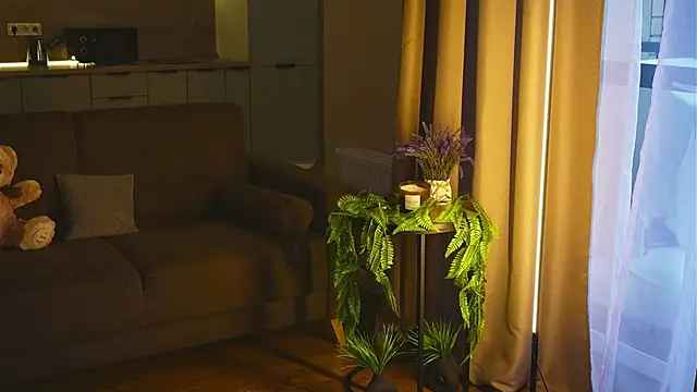 wowmolly online show from November 1, 10:30 am