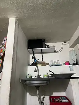 siri duque online show from April 20, 10:29 am