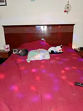 DesireSatler online show from February 22, 5:19 am