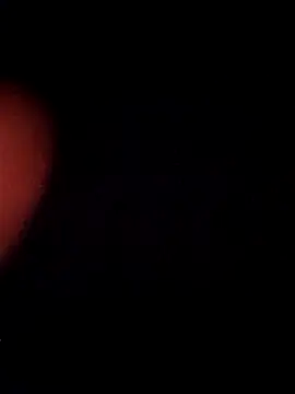 sana14 online show from March 21, 5:29 pm