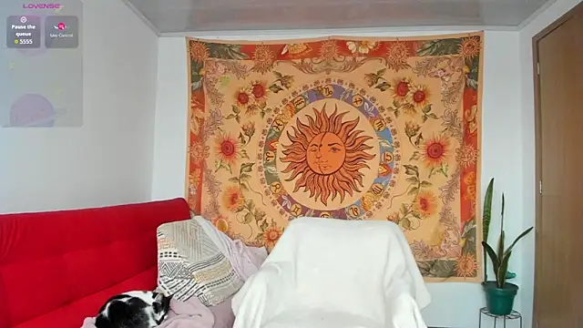 Demeter   online show from February 19, 9:46 pm