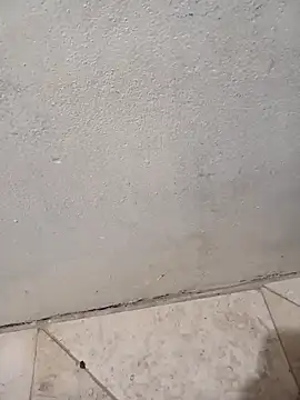 lemon69Reo online show from February 8, 6:39 am