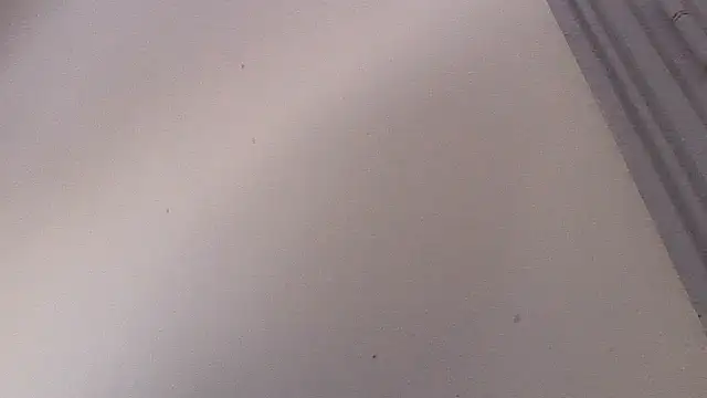 Frozenx online show from February 15, 11:20 am