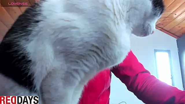 Darkness jones  online show from April 17, 6:43 pm