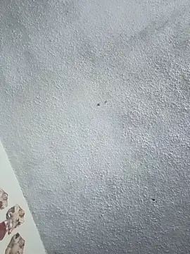 Darly Gomez online show from January 31, 8:07 pm