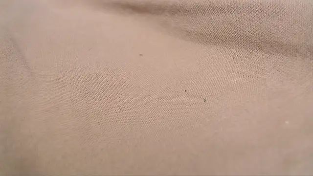 Lona-s online show from April 8, 11:23 am