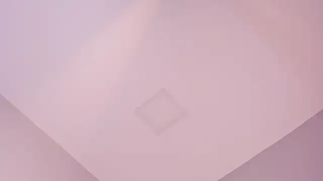 sara  jones gh online show from November 19, 5:02 pm