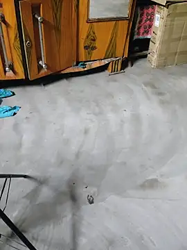 birds0641 online show from April 27, 6:16 pm