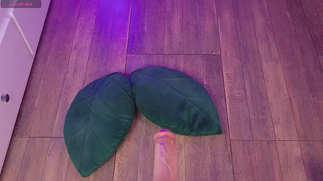 yourdream 6 online show from November 16, 12:12 am