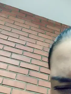 Snapshot of dulce_696 chatting on October 6, 4:23 pm dulce 696 online show from October 6, 4:23 pm