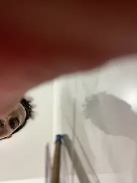 Carola-Ross online show from October 5, 11:54 pm