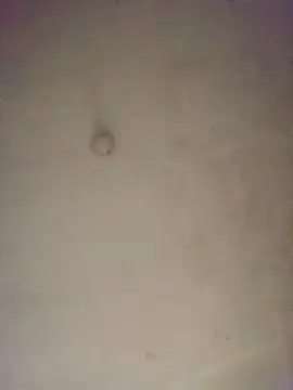 CandieGilson   online show from April 22, 10:34 am